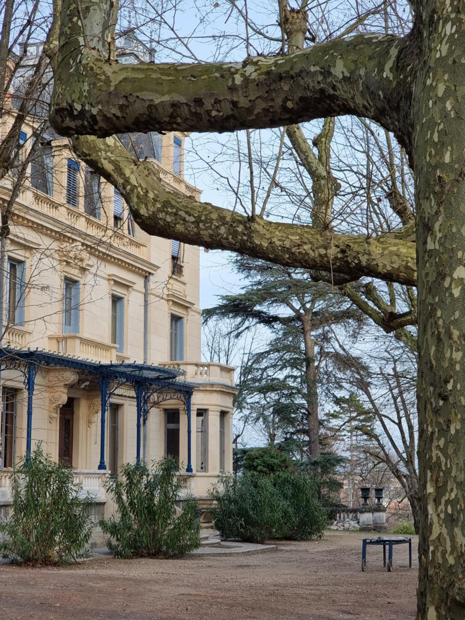 Hotel-Musee Villa Bagatelle Irigny Exterior photo